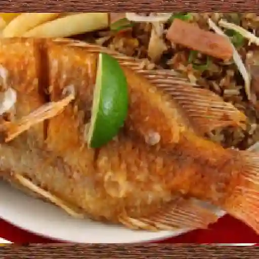 Mojarra negra o roja
