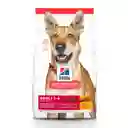 Hills Alimento Para Perro Adulto 5 Lb