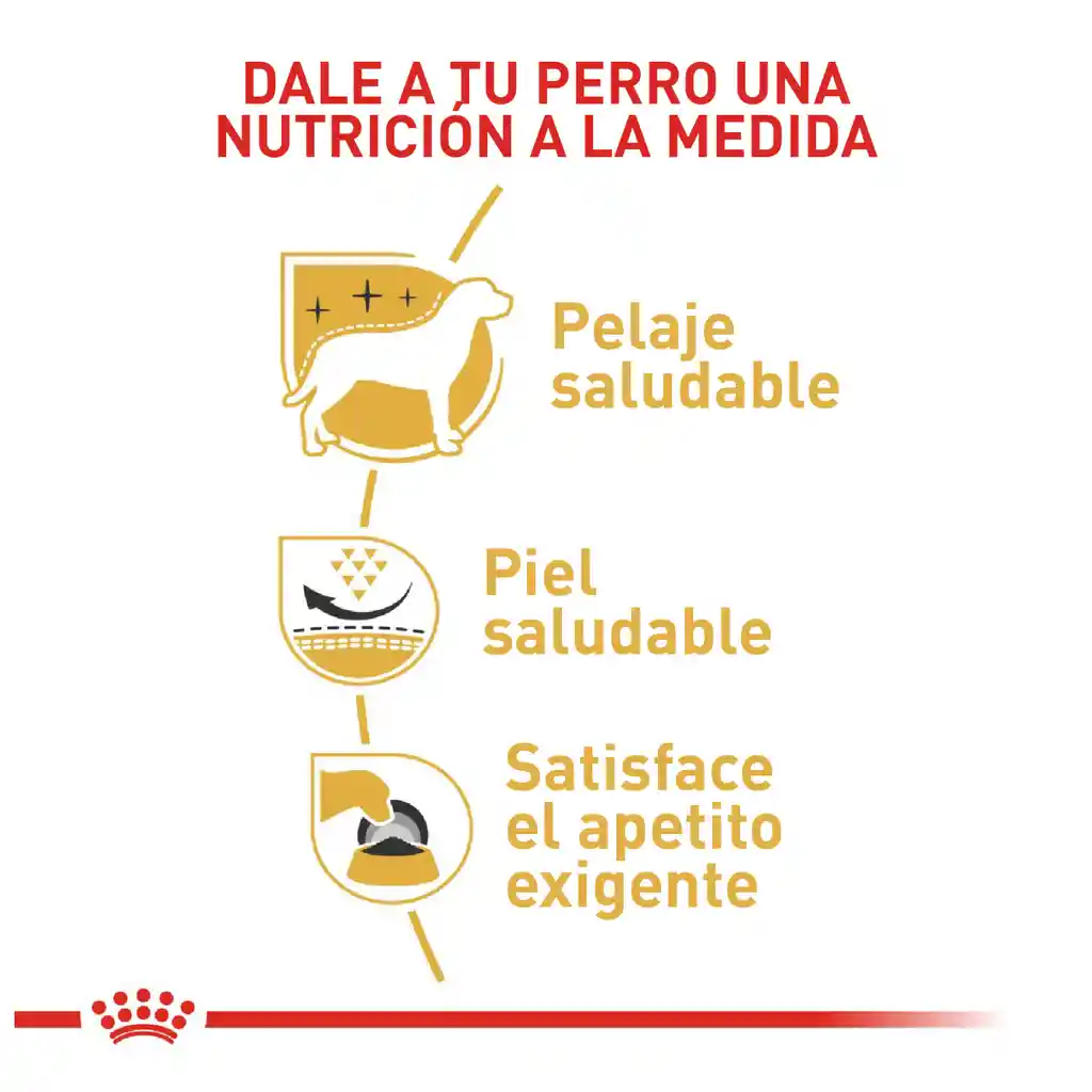 Royal Canin Alimento para Perro West Highland White Terrier 