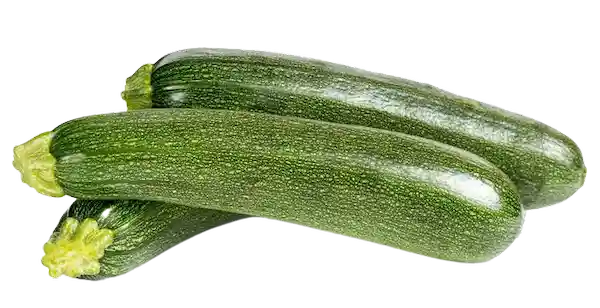 Zucchini Verde