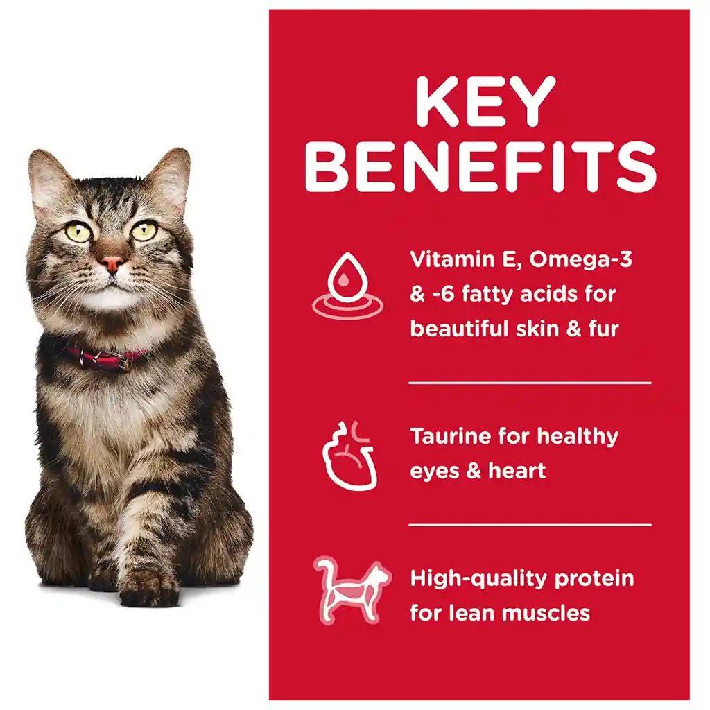 Hills Alimento Para Gato Mature 7+ Hairball Control 3.5 Lb