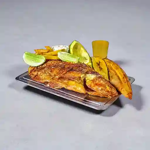 Mojarra
