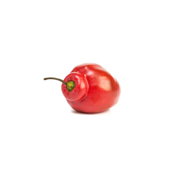 Aji Rocoto - Rappi