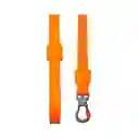 Zeedog Correa Para Perro Neopro Tangerine Talla L