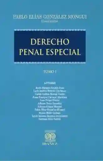 Derecho Penal Especial - VV.AA