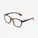 B+D Gafas Reading Max Carey + 2.00