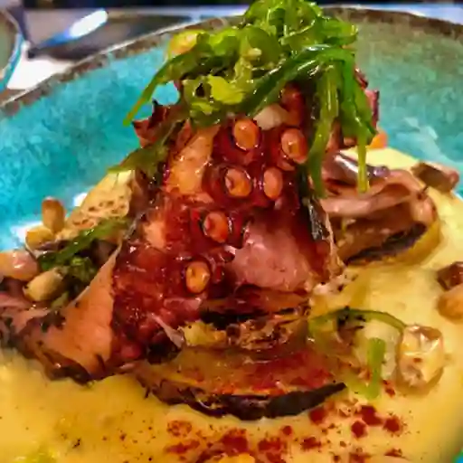Pulpo Parrilla