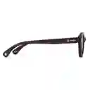 Karun Gafas de Sol Mist SWFS0032