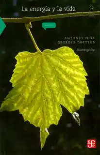 La energía y la vida. Bioenergética