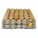 Avinal Huevos Rojo AA 