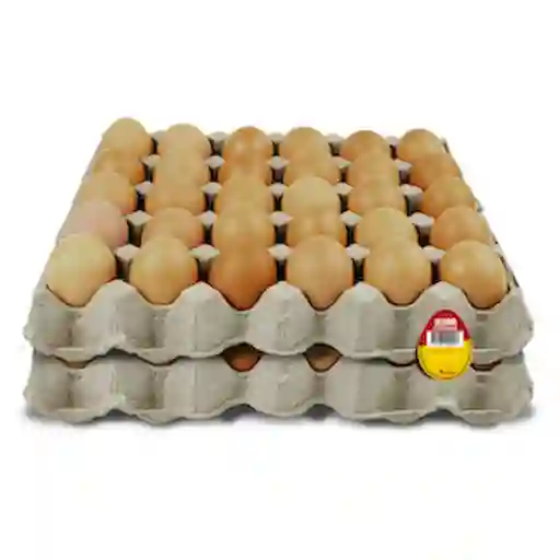 Avinal Huevos Rojo AA 