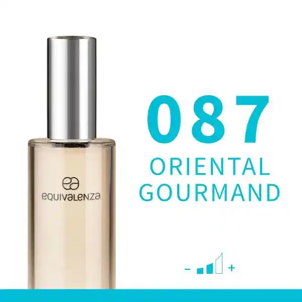 Equivalenza Perfume Oriental Gourmand 087