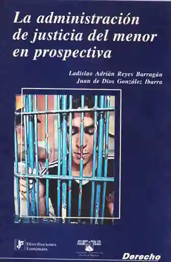 La Administración de Justicia Del Menor en Prospectiva