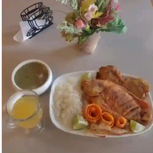 Tilapia