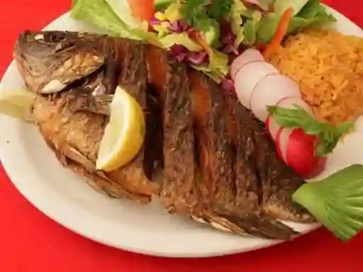 Mojarra Camaronera