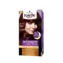 Tinte Palette Invensive Color Creme 6-78 Rubio Cobrizo Oscuro