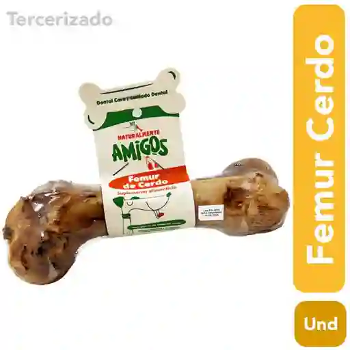 Natural Toys Hueso Amigos Pernil-Femur de Cerdo Natural Perros