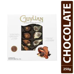 Guylian Chocolate Caja x 250g