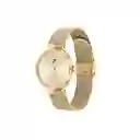 Tommy Hilfiger Reloj Mujer1782217