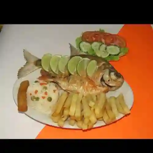 Cachama Frita