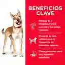 Hills Alimento Para Perro Adulto 35 Lb