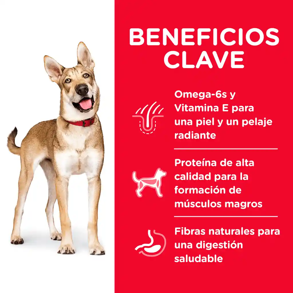 Hills Alimento Para Perro Adulto 35 Lb