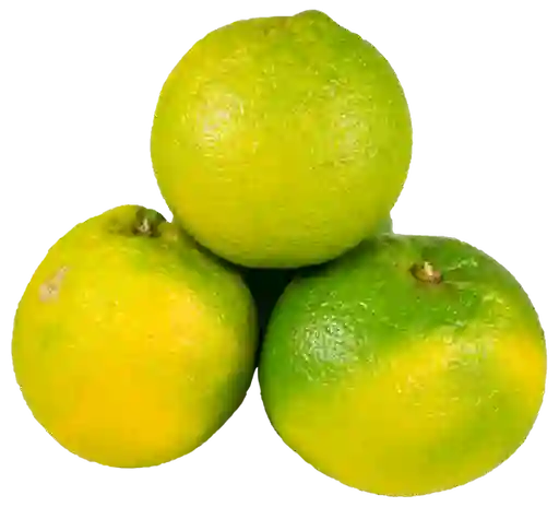 Naranja Importada