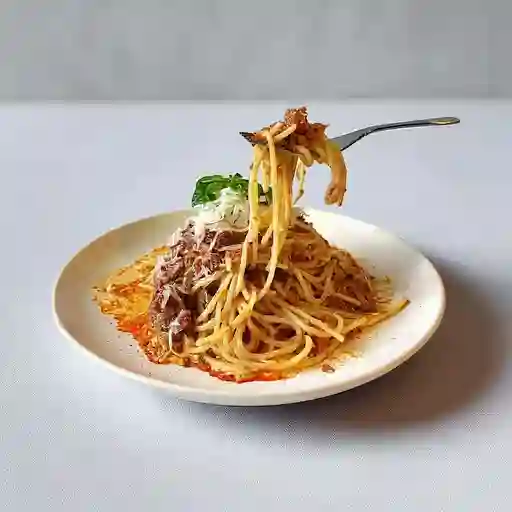 Bolognesa
