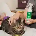 LuloPet Relaxing Effect Cat y Kitten para Gato - 250 ml