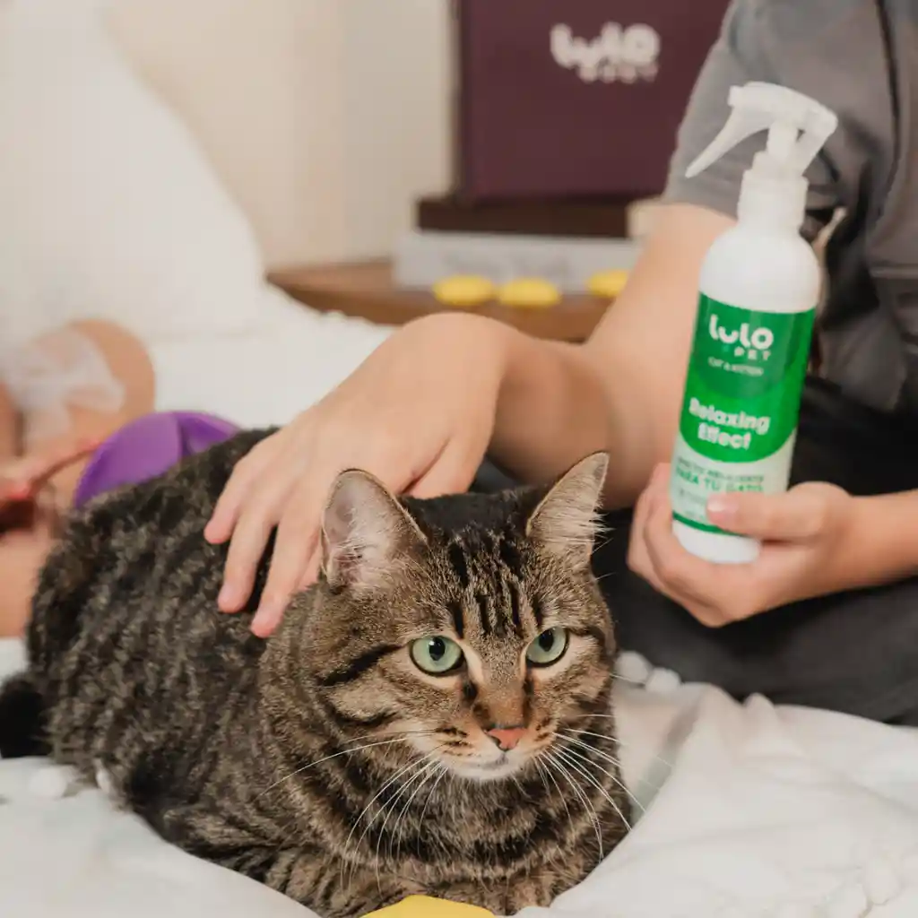 LuloPet Relaxing Effect Cat y Kitten para Gato - 250 ml