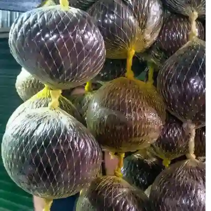 Jugo de Borojo