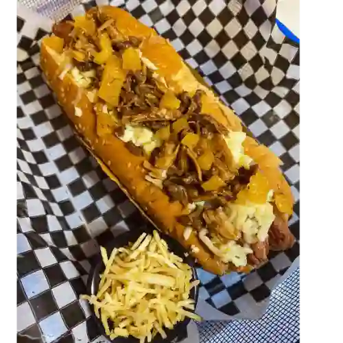 Perro de la Casa.