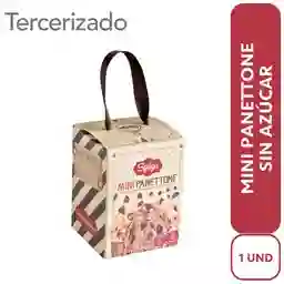 Spiga Panettone Integral Arándanos y Chocolate Sin Azúcar mini