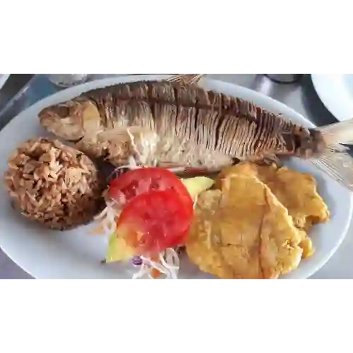 Bocachico Frito