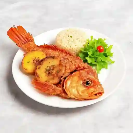 Mojarra Roja