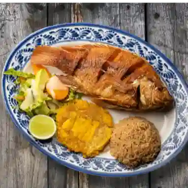 Bandeja con Tilapia Roja