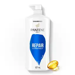 Pantene Shampoo Repair & Protect