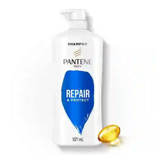Pantene Shampoo Repair & Protect