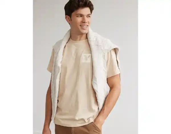 Camiseta Hombre Beige Talla Large American Eagle