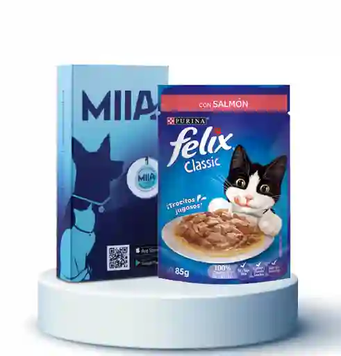 Combo Alimento Para Gato Felix Pouch Salmón 85 g + Miia