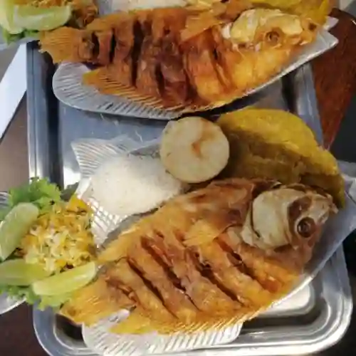 Mojarra