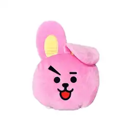 Cobija Con Funda Tipo Almohada Serie Cooky Bt21 Miniso