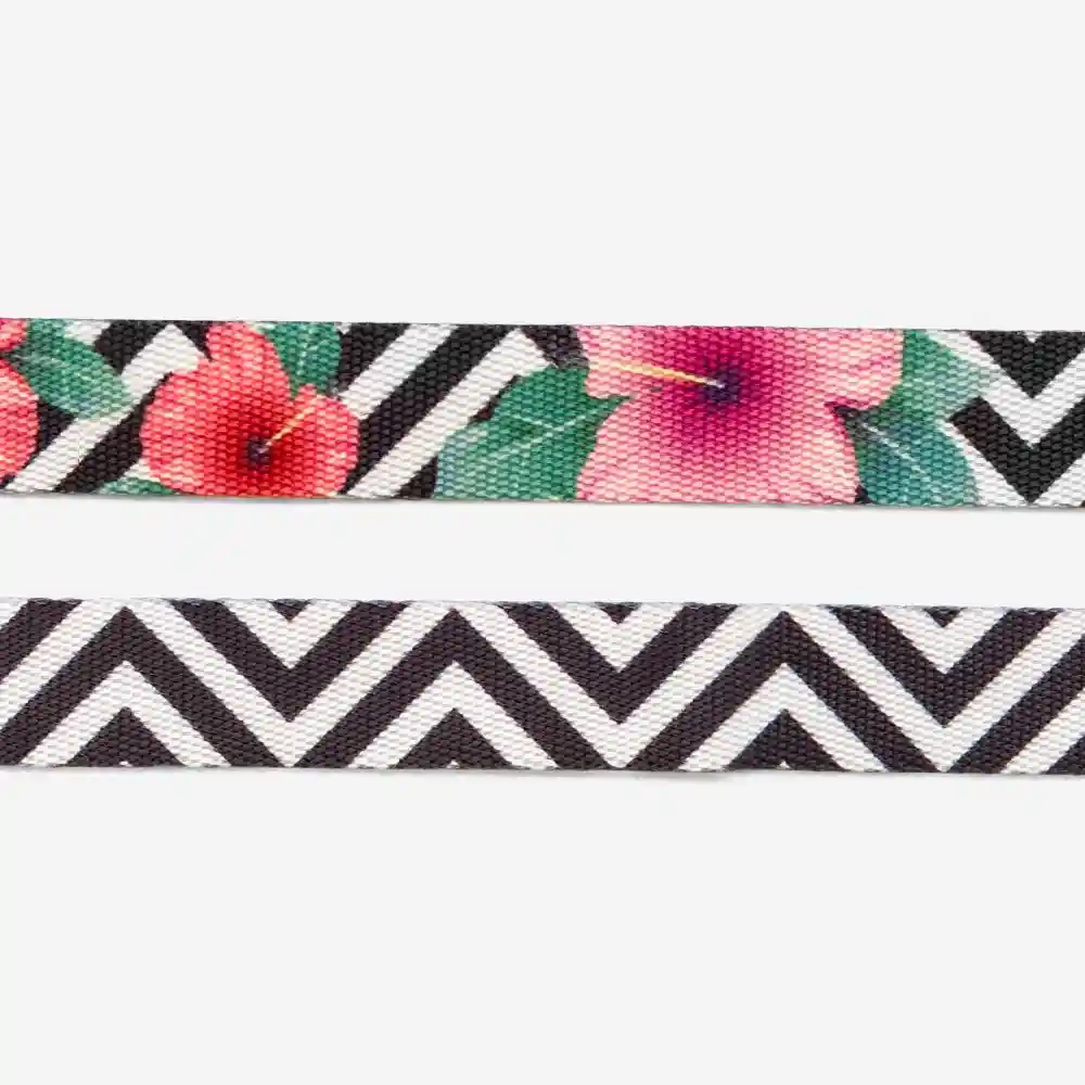 Zee.Dog Collar Para Perro Mahalo XS