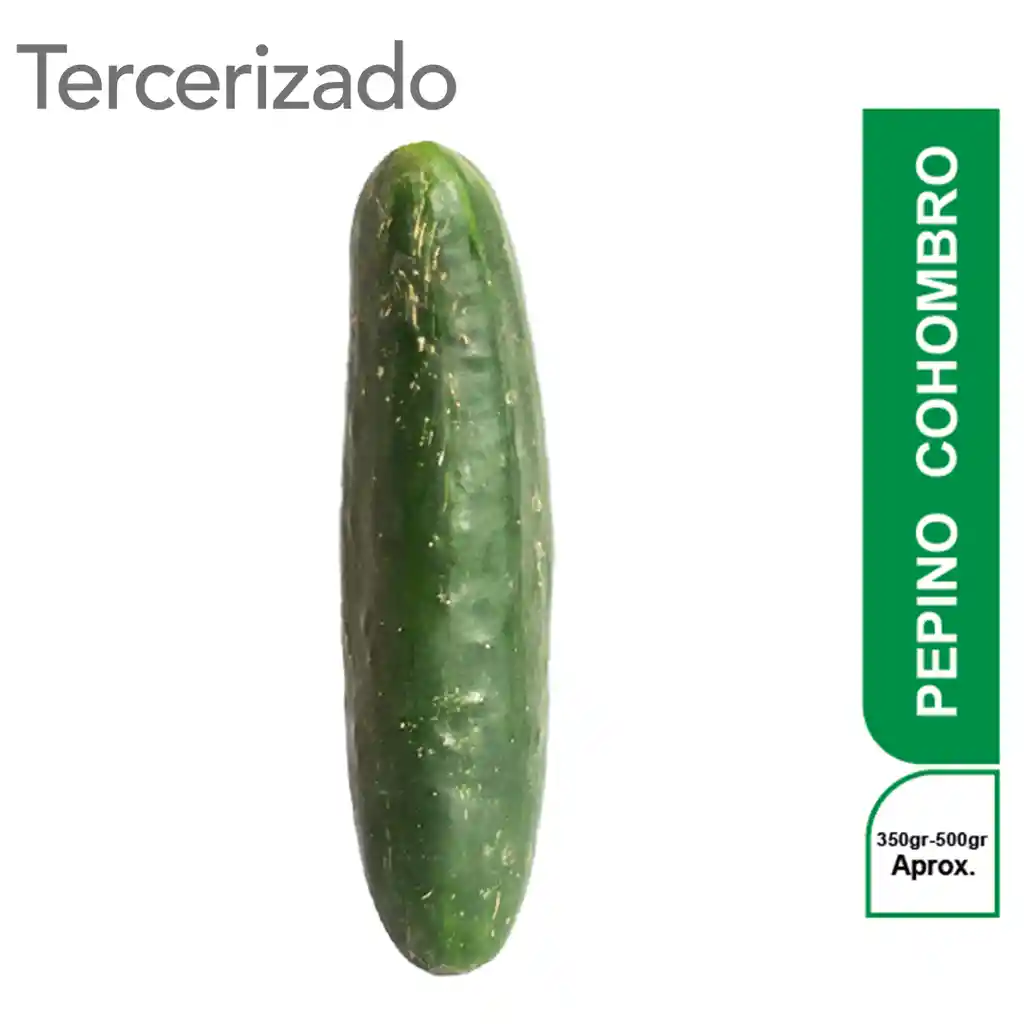 Pepino Cohombro Turbo