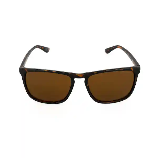 Gafas Para Hombre Color Havana X17155 Steve Madden