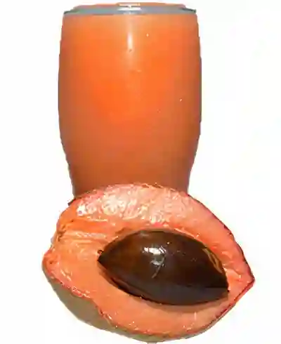Jugo de Zapote