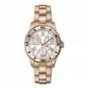 Invicta Reloj Hombre Oro Rosa Inv35829