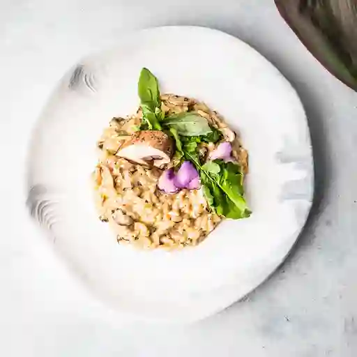 Funghi