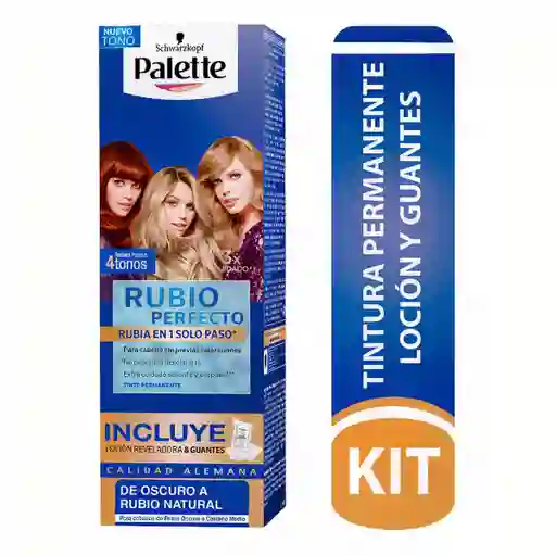 Palette Kit de Tinte Permanente Rubio Perfecto