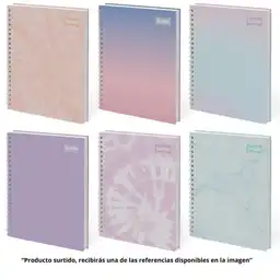 Scribe Cuaderno 7 Materias Grande Cuadriculado Sport Femenino